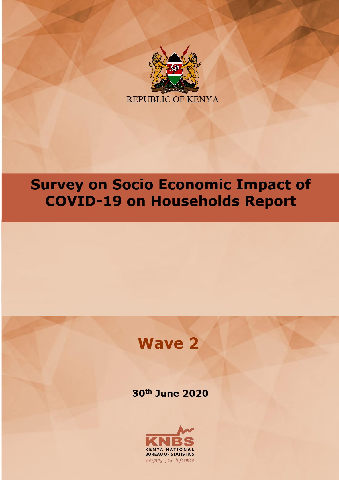 Socio-Economic-Impact-of-COVID-19-on-Households-Survey-Wave-2