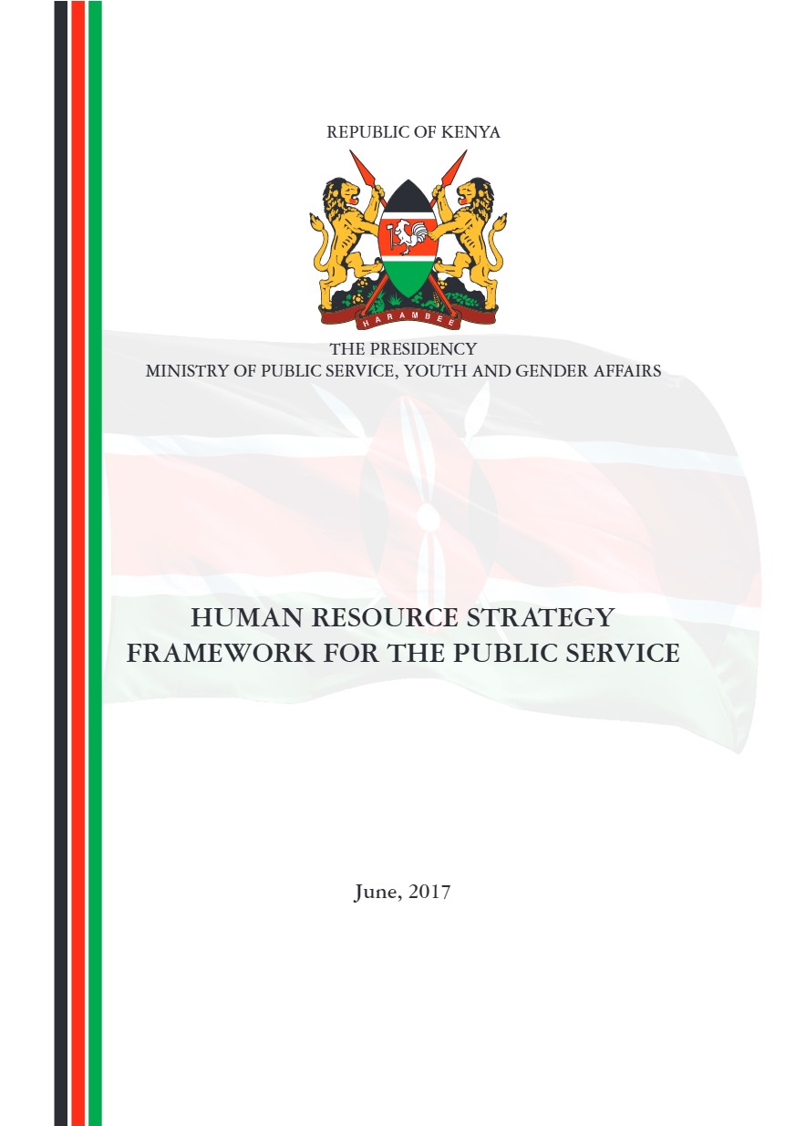 Human Resource Strategy Framework For the Public Service